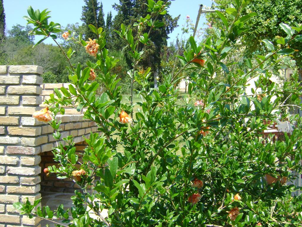 Appartamento Scorpios Dassia (Corfu)