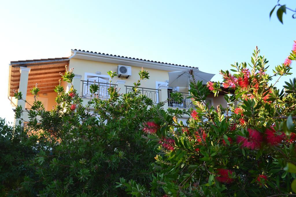 Scorpios * Dassia (Corfu)